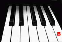 Piano Keytop Glossy White 2" Long Head - Individual Replacement Key